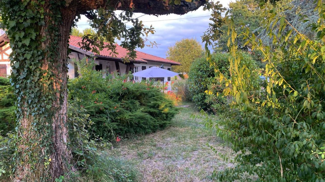 Cool Landes Villa Sainte-Eulalie-en-Born Exterior photo